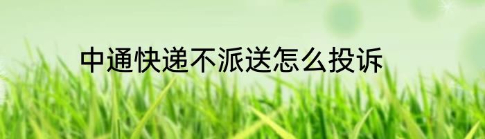 中通快递不派送怎么投诉