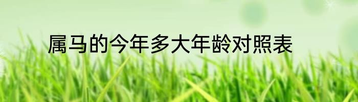 属马的今年多大年龄对照表
