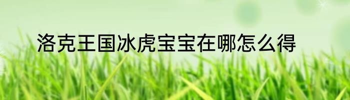 洛克王国冰虎宝宝在哪怎么得