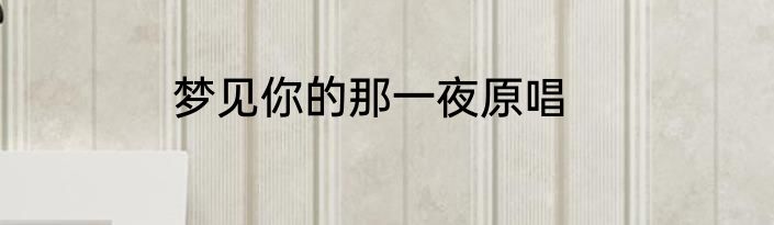 梦见你的那一夜原唱