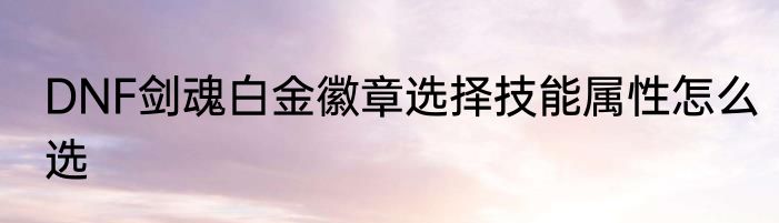 DNF剑魂白金徽章选择技能属性怎么选