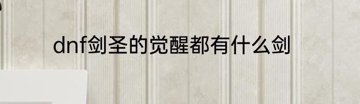 dnf剑圣的觉醒都有什么剑