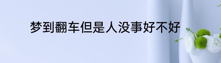 梦到翻车但是人没事好不好