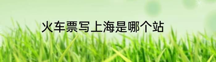 火车票写上海是哪个站