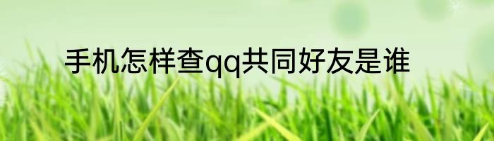 手机怎样查qq共同好友是谁
