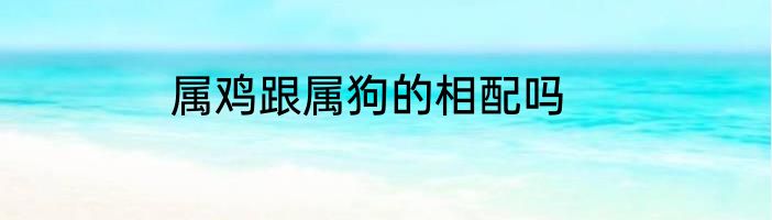 属鸡跟属狗的相配吗