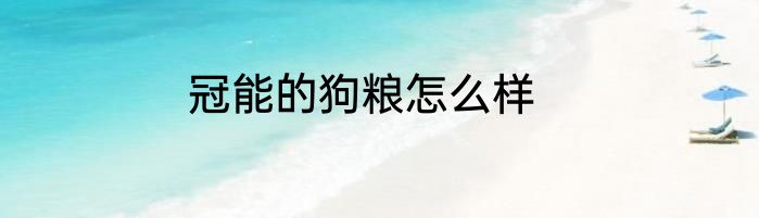 冠能的狗粮怎么样