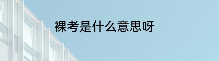 裸考是什么意思呀