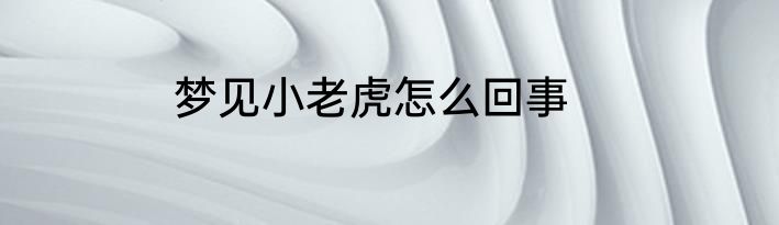 梦见小老虎怎么回事