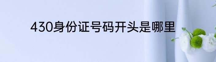 430身份证号码开头是哪里