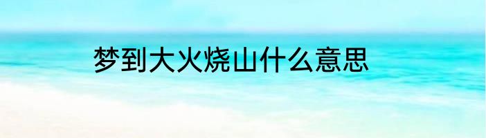 梦到大火烧山什么意思