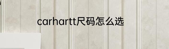 carhartt尺码怎么选