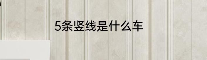 5条竖线是什么车