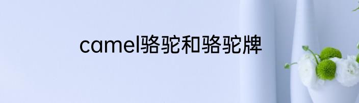 camel骆驼和骆驼牌