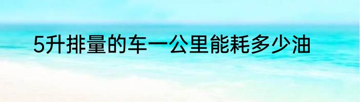 5升排量的车一公里能耗多少油