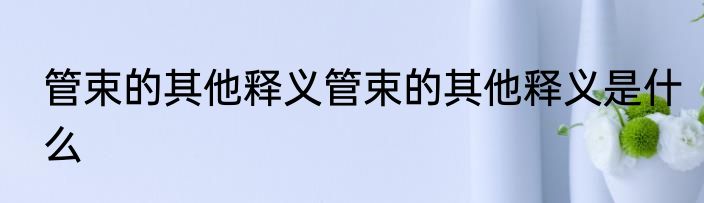 管束的其他释义管束的其他释义是什么