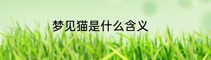 梦见猫是什么含义