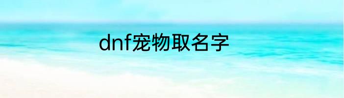 dnf宠物取名字