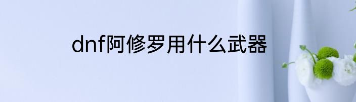 dnf阿修罗用什么武器