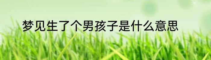 梦见生了个男孩子是什么意思