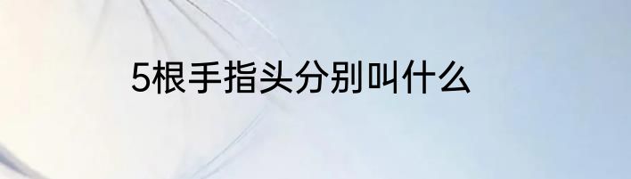 5根手指头分别叫什么