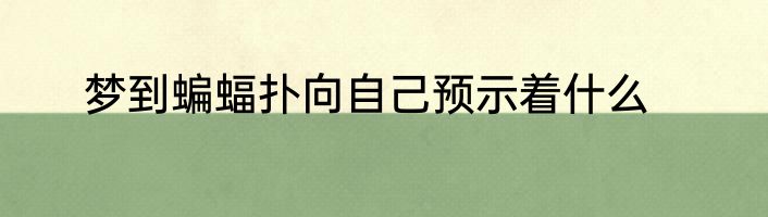 梦到蝙蝠扑向自己预示着什么