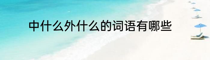 中什么外什么的词语有哪些