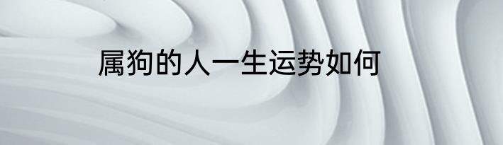 属狗的人一生运势如何