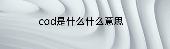 cad是什么什么意思
