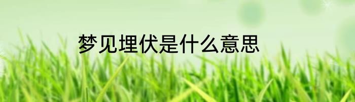梦见埋伏是什么意思