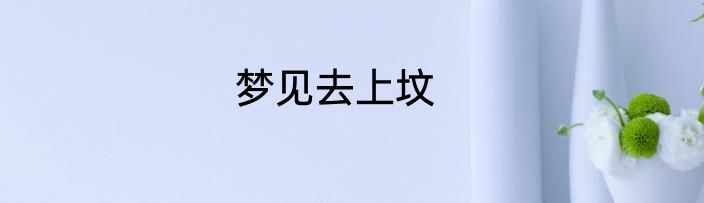 梦见去上坟