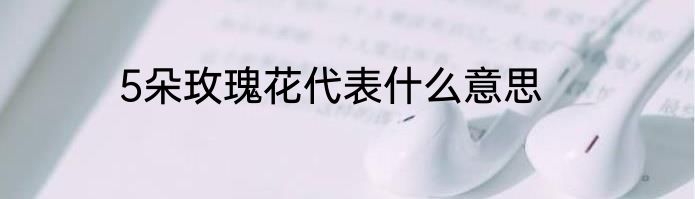 5朵玫瑰花代表什么意思