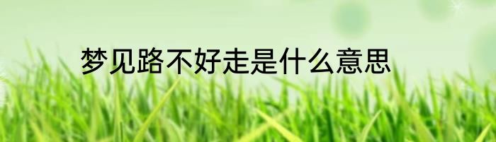 梦见路不好走是什么意思