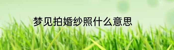 梦见拍婚纱照什么意思