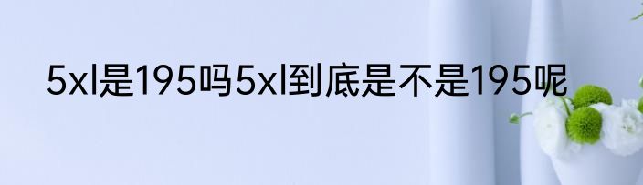 5xl是195吗5xl到底是不是195呢