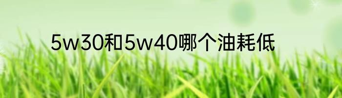 5w30和5w40哪个油耗低
