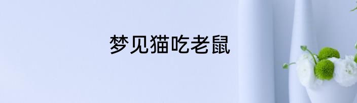 梦见猫吃老鼠