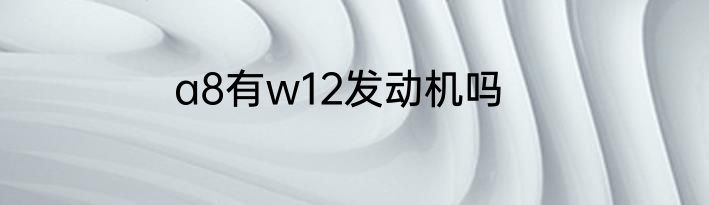 a8有w12发动机吗