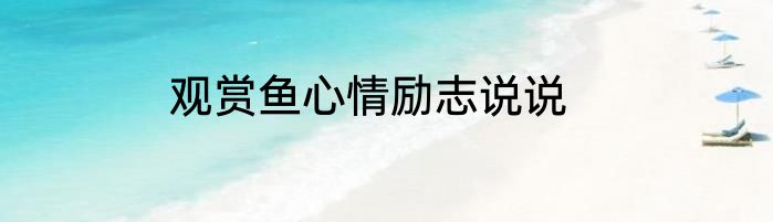 观赏鱼心情励志说说