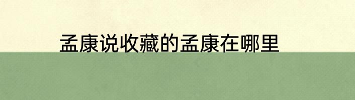 孟康说收藏的孟康在哪里