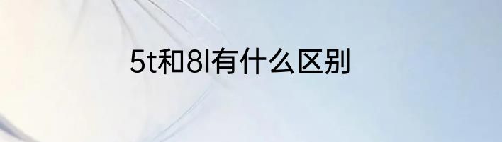 5t和8l有什么区别