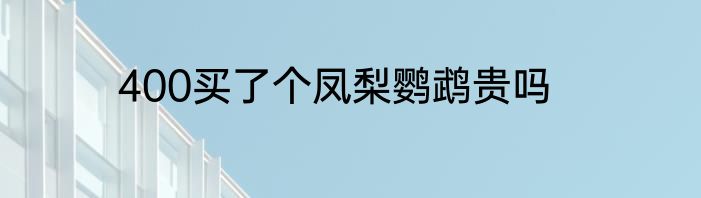 400买了个凤梨鹦鹉贵吗