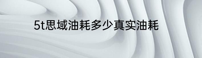 5t思域油耗多少真实油耗
