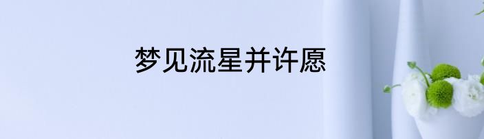 梦见流星并许愿