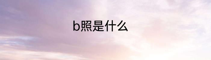 b照是什么