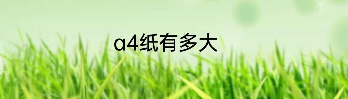 a4纸有多大