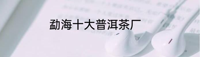 勐海十大普洱茶厂