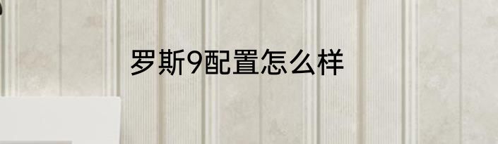 罗斯9配置怎么样