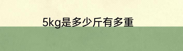 5kg是多少斤有多重