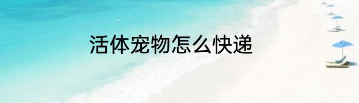 活体宠物怎么快递